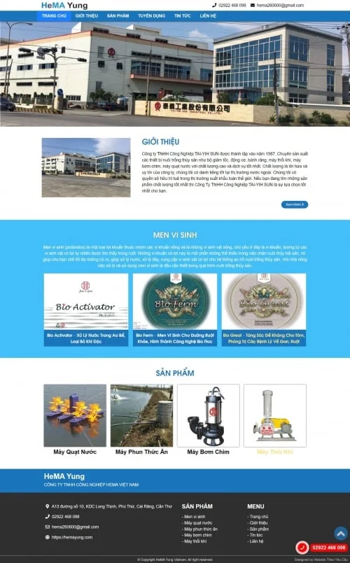 Thiết kế website công ty Hema Yung - Preview 1