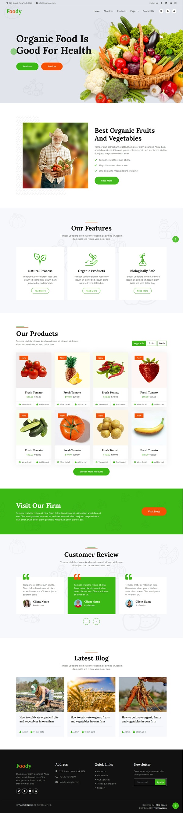 Mẫu Website Thực Phẩm Sạch Foody