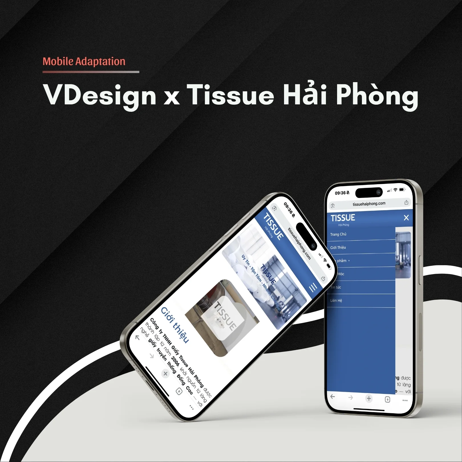 Dự Án Website TISSUE HẢI PHÒNG