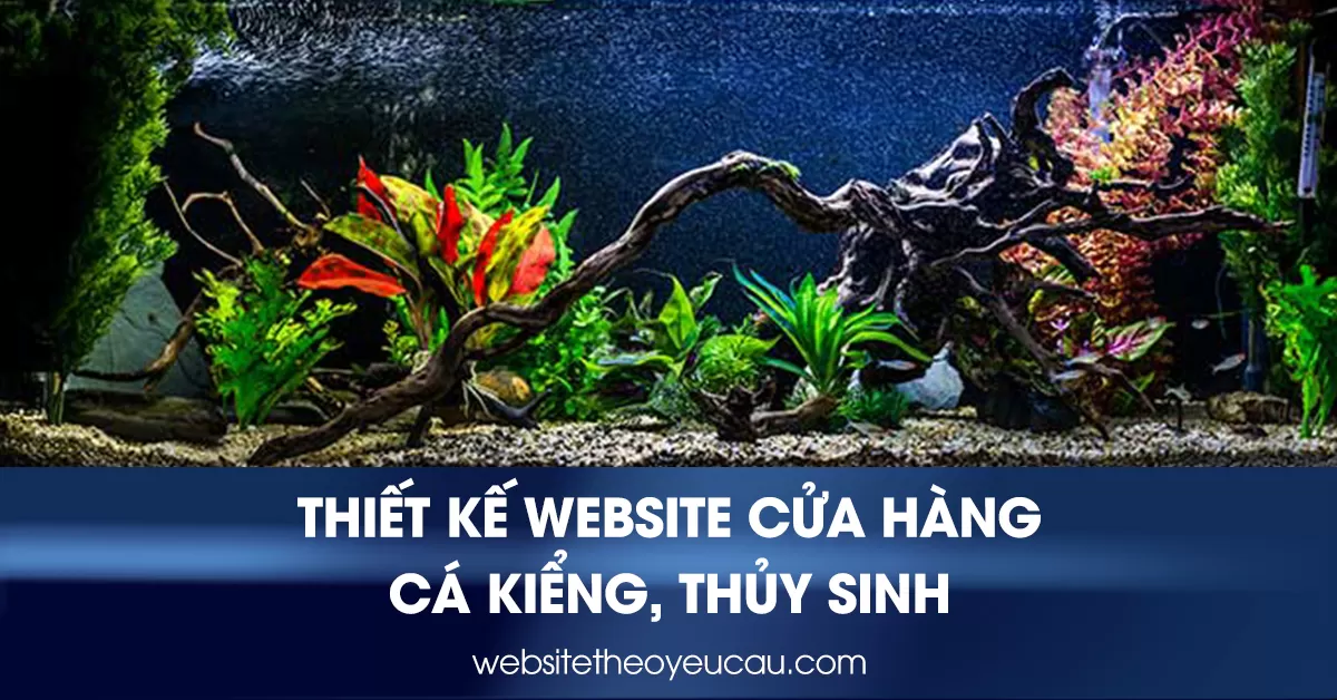 Thiết kế website kinh doanh cá kiểng, thủy sinh Theo Yêu Cầu