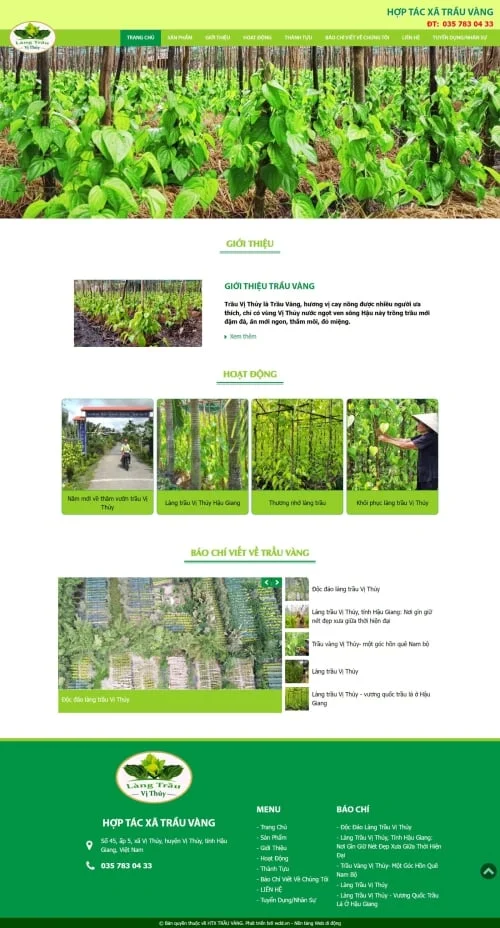 Thiết kế website Hợp tác xã Trầu Vàng